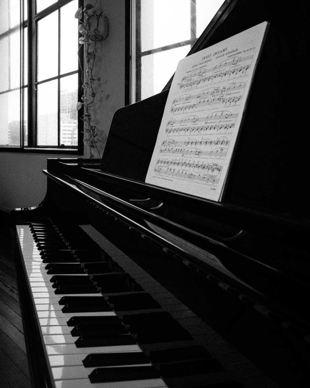 Black and white angled view of the grand piano by the tall heritage windows