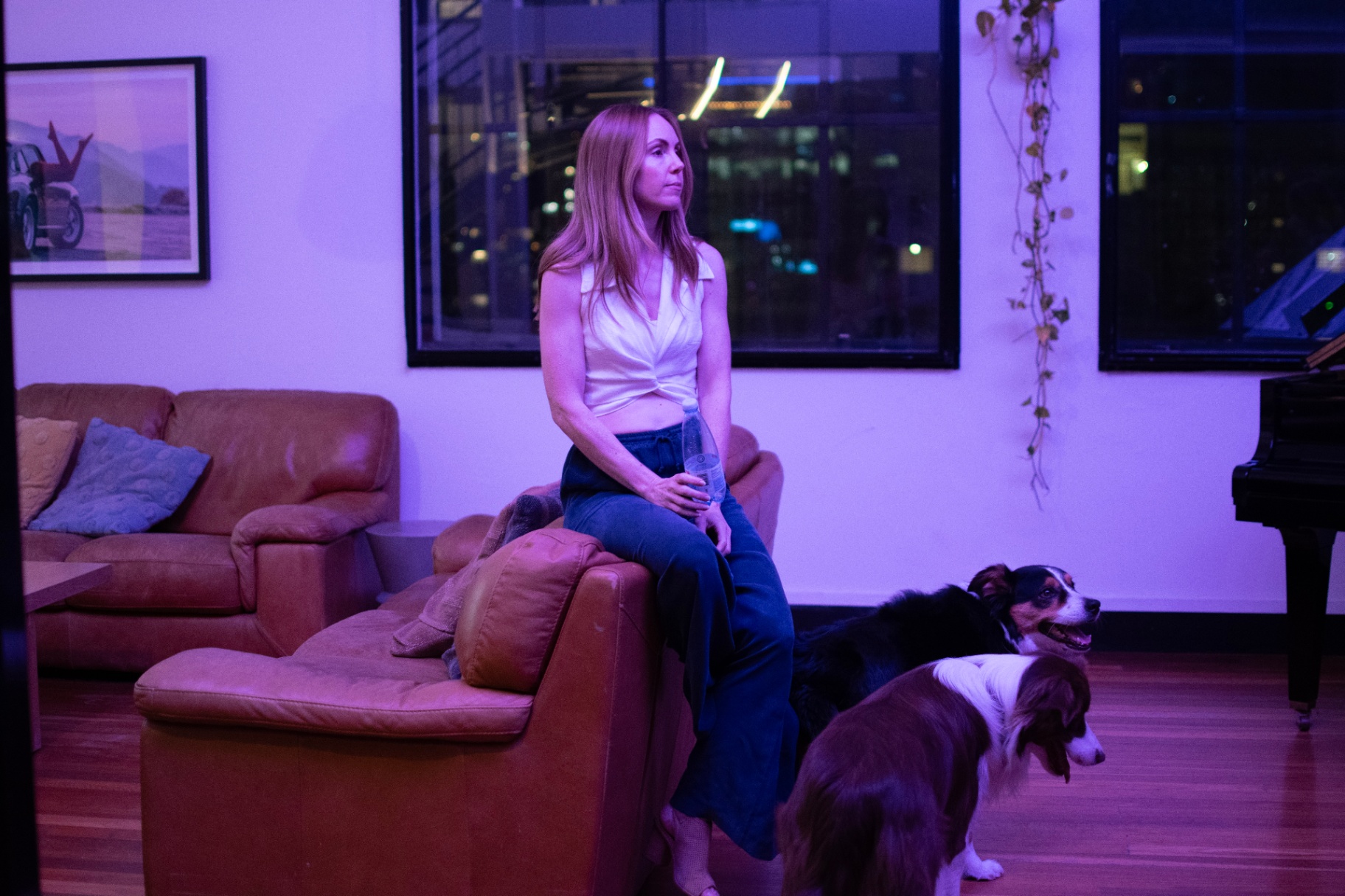 Quiet moment in the living room with the dogs